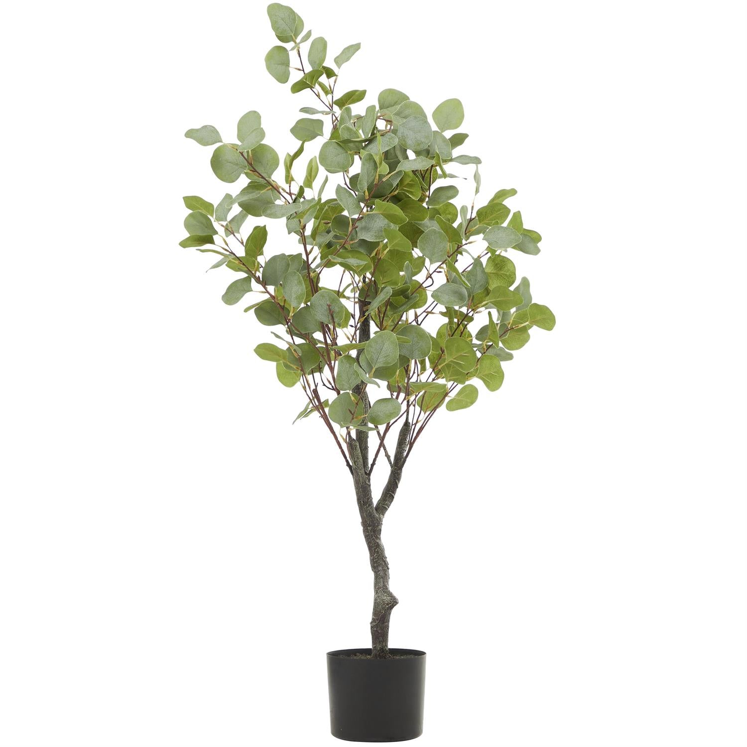 Árbol Eucalipto artificial
