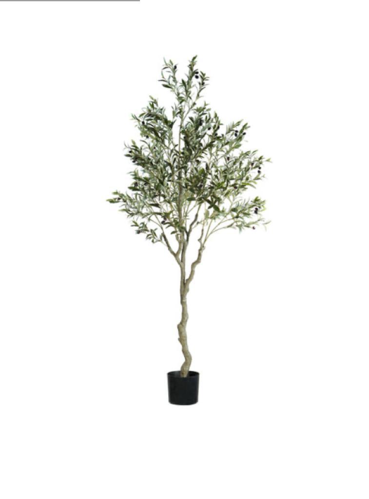 Olivo Artificial